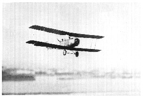 Sopwith Strutter